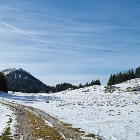 Bergziegentraining im Winter: Langlauf / Skating